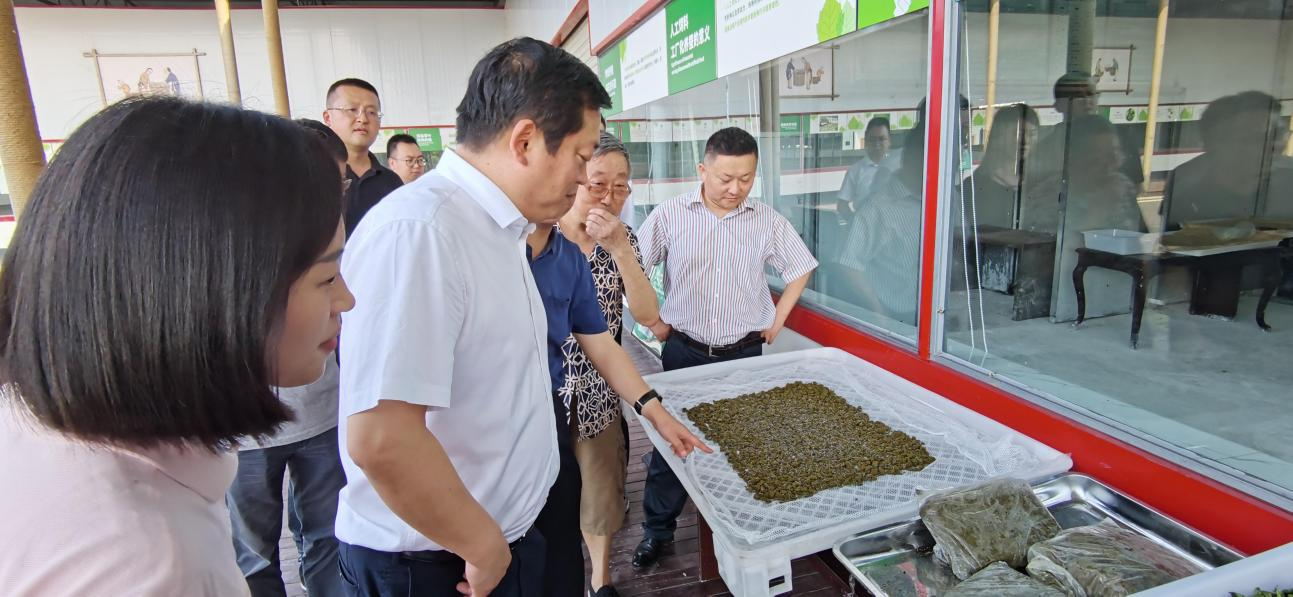 省云顶集团集团党委副书记、董事陈日赴嘉陵区调研茶桑工业生长情形