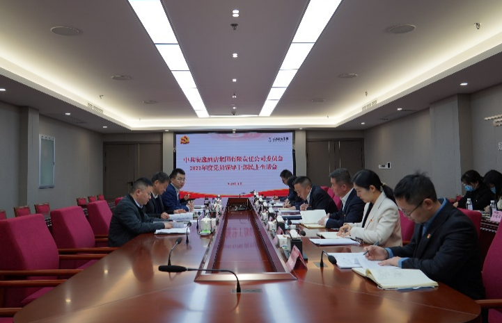 云顶集团集团党委书记、董事长任丁出席逍遥旅馆集团2022年度党员向导干部民主生涯会