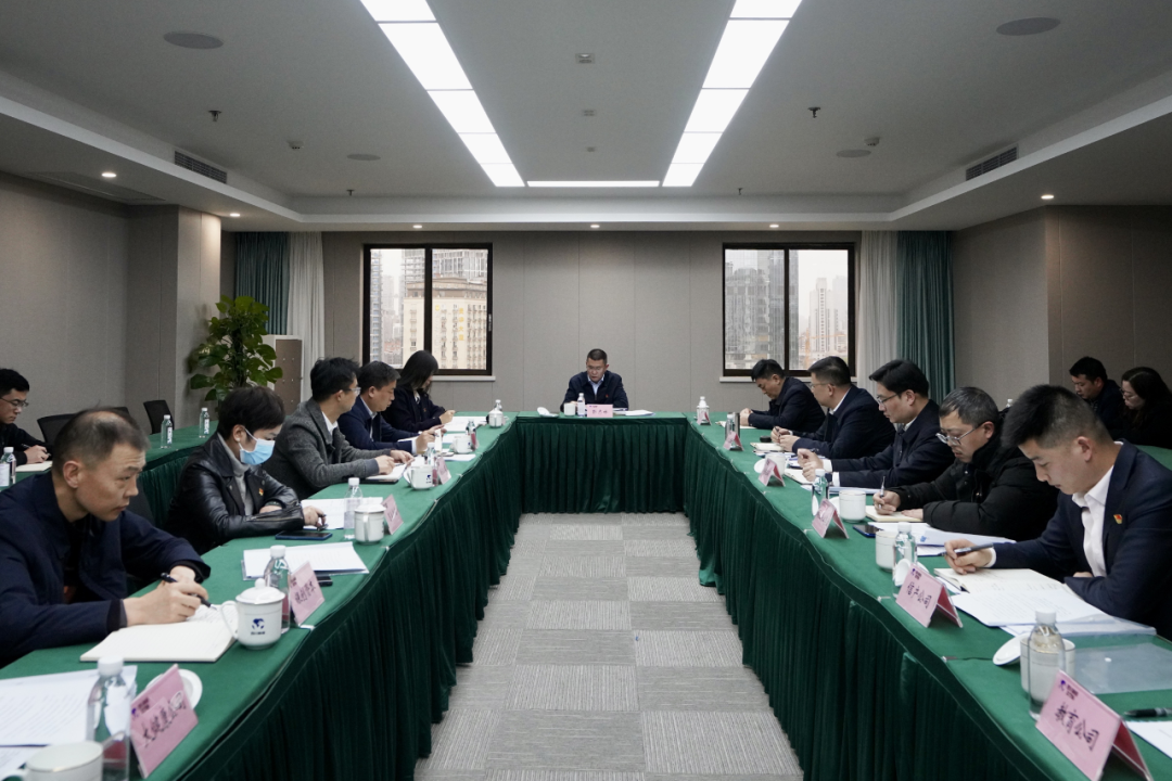 四川省云顶集团集团开展纪检监察干步队伍教育整理学习教育